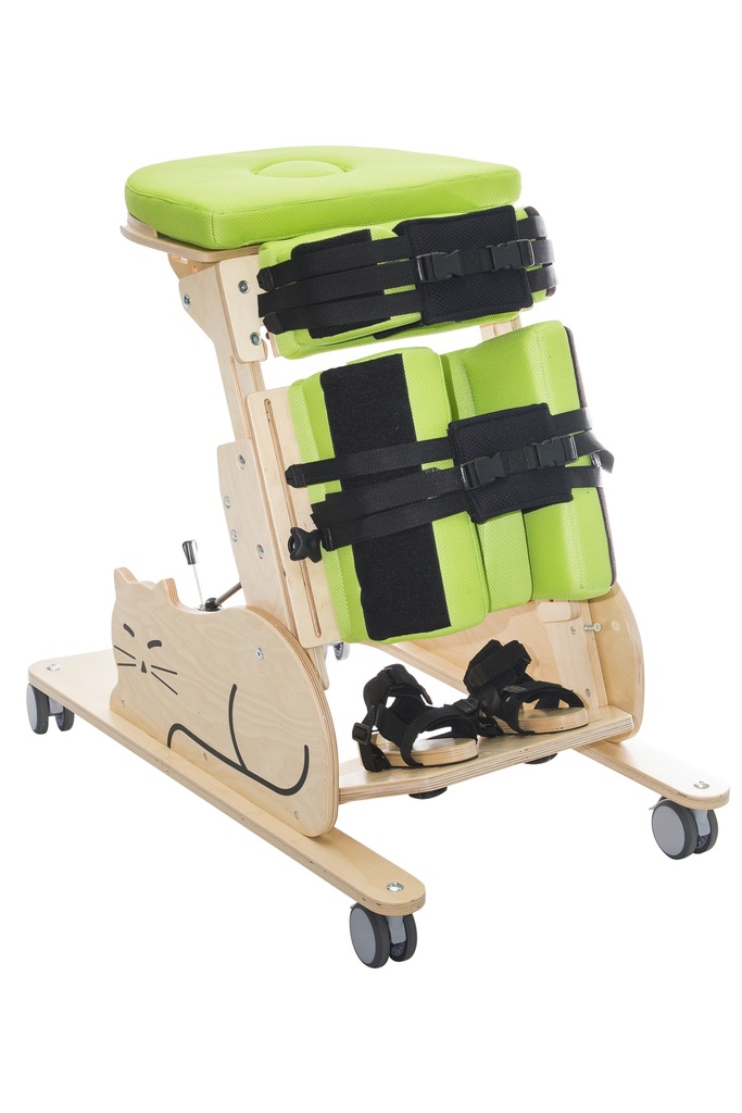 BIPEDESTADOR CAT I