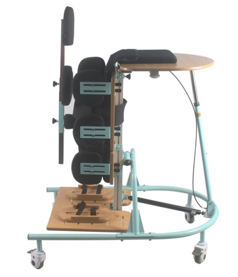 BIPEDESTADOR STANZME PRONE STANDER