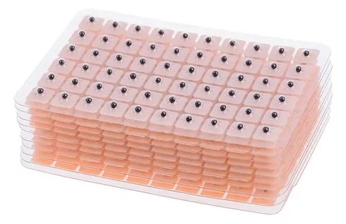 SEMILLAS DE VACCARIA PARA AURICULOTERAPIA