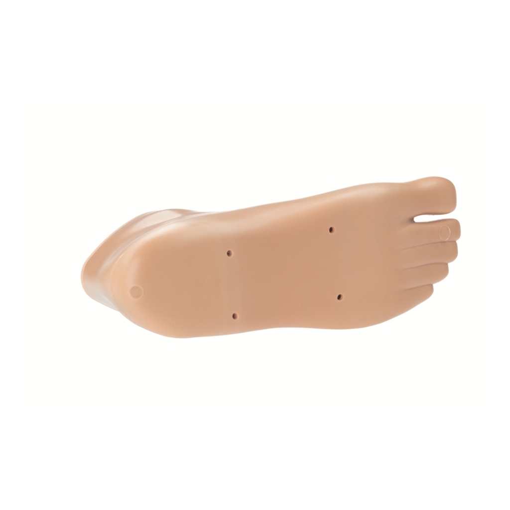 TALEO FOOTSHELL