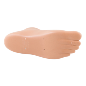 FOOTSHELL TRIAS