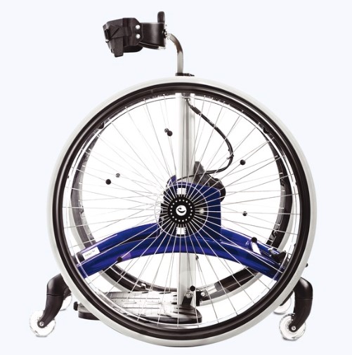 BIPEDESTADOR RABBIT