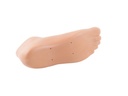 FOOTSHELL TRIAS