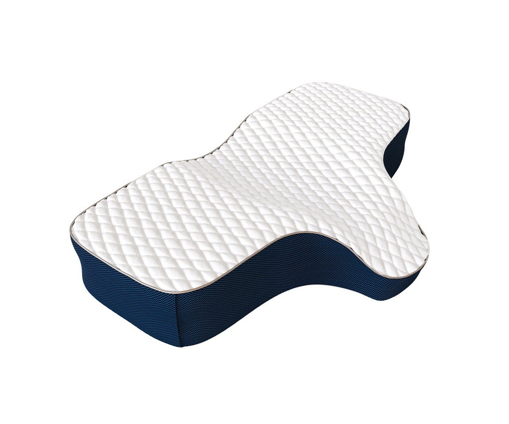 ALMOHADA THERAJOY