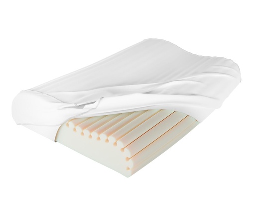 [TM210] ALMOHADA THERACURVE