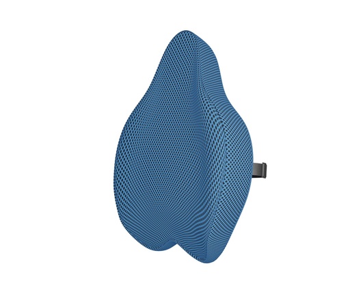 [TM312] COJÍN POSTURAL THERACTIVE (Negro)