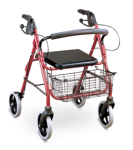 [FS965LH] ANDADOR CON CANASTO