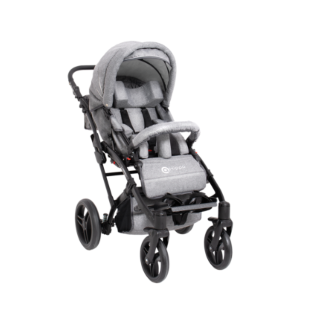 COCHE DE TRASLADO HIPPO +