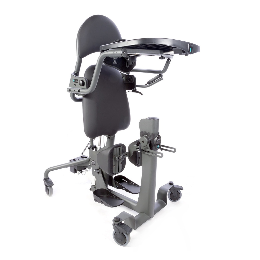 BIPEDESTADOR EVOLV LARGE