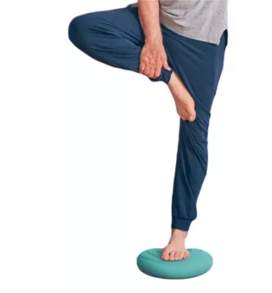 BOSU VESTIBULAR DISC B-CORE