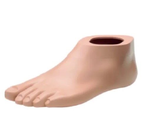 [2C12=L24/4N] PIE PARA TERION (24, Beige, Normal, Izquierdo)