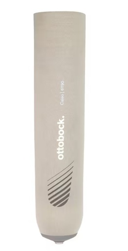 [6Y90=250] CALEO, TT (250mm)