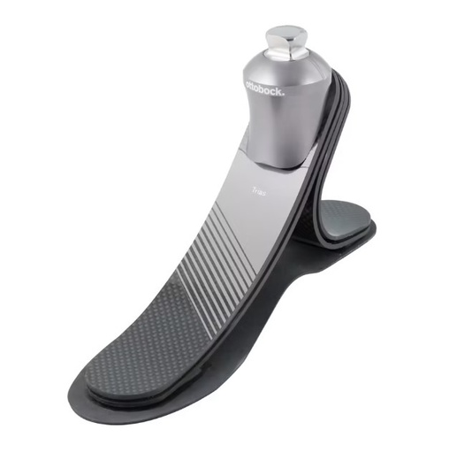 [1C30-1=N29-3-P/0] TRIAS (WITHOUT FOOTSHELL) (29, 3)