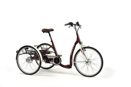 TRICICLO ELÉCTRICO LAGOON